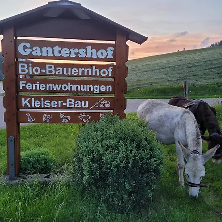 Gantershof تيتيسي نيوستادت